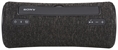 SONY SRS-XG300