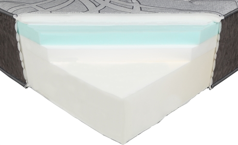 BEDLAND ML600 (AÑO 2020)