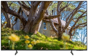 SAMSUNG TU55U8005F