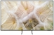 SAMSUNG TQ55S85H