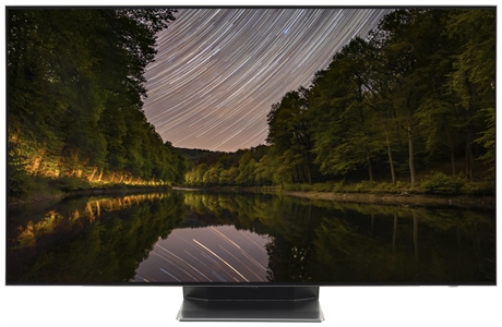 SAMSUNG QE55S95B