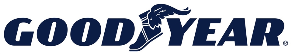 GOODYEAR www.goodyear.eu