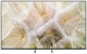 SAMSUNG TMR55R85H